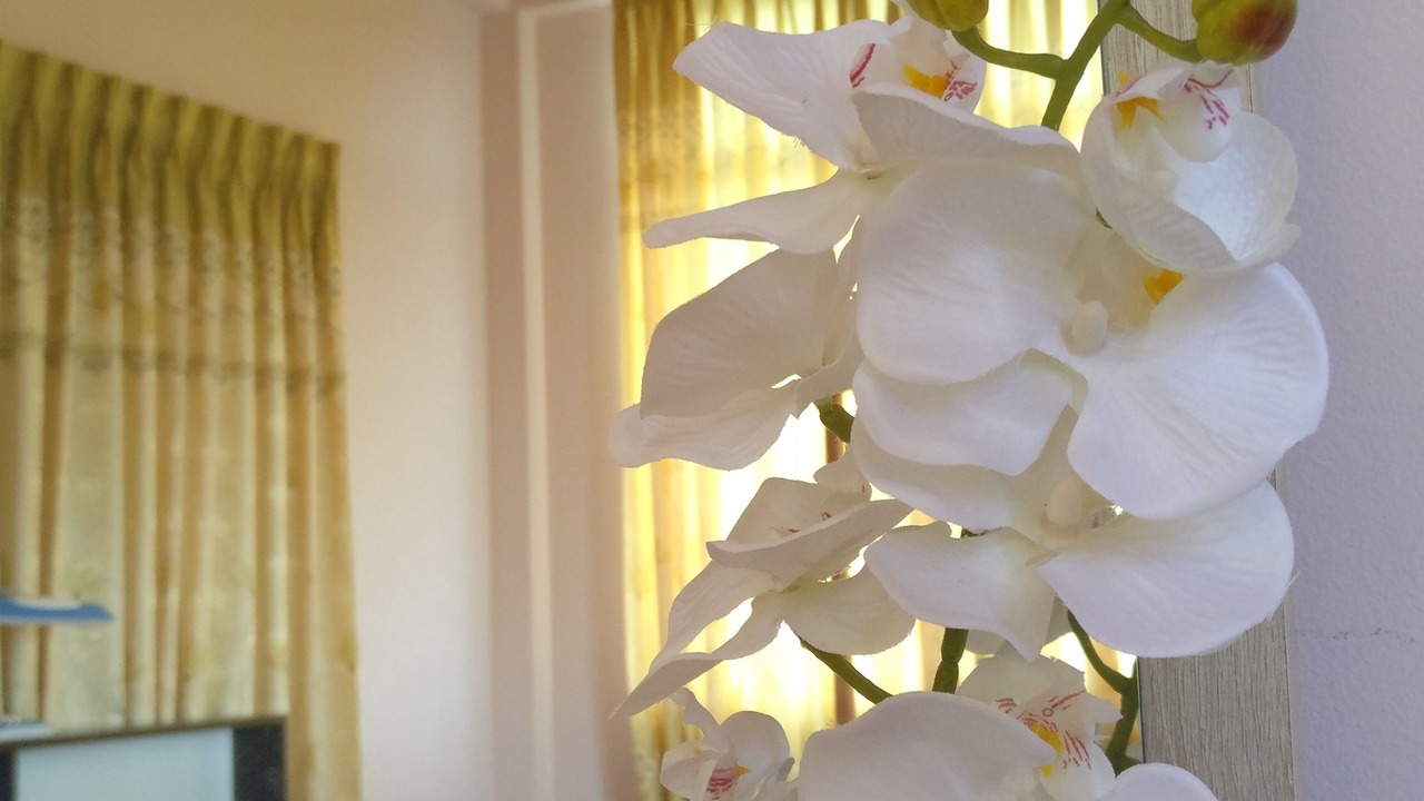 Photo of Bedroom in Dhaandhoo
