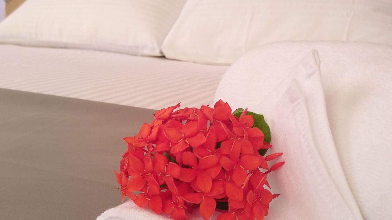 Photo of Bedroom in Dhaandhoo