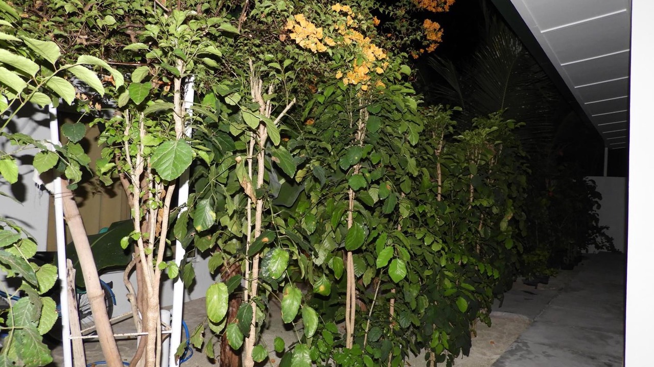 Photo of Outdoor in Thoddoo