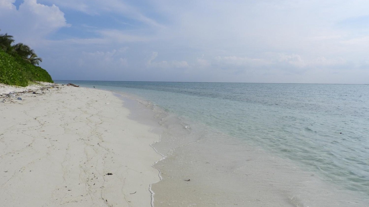 Photo of Others in Thoddoo