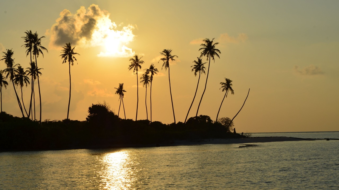 Photo of Others in Hulhumale