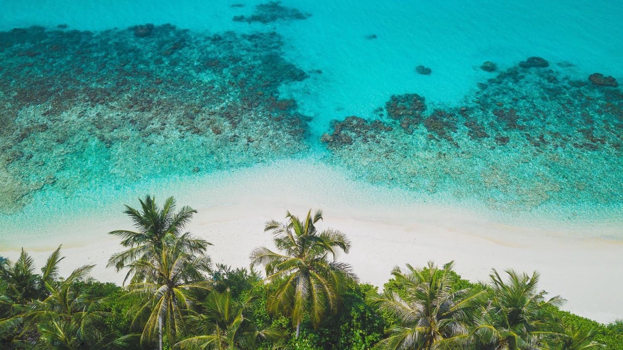 Photo of Others in Dhigurah