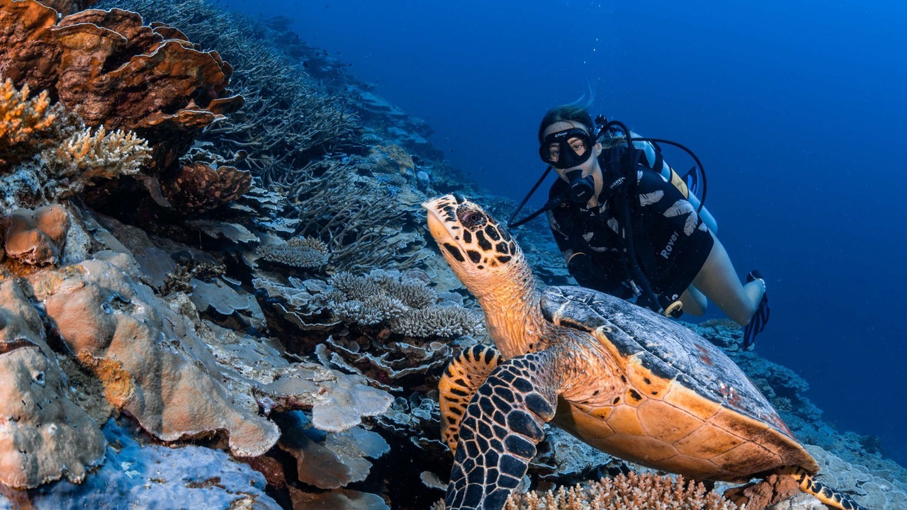 Photo of Others in Hadahaa