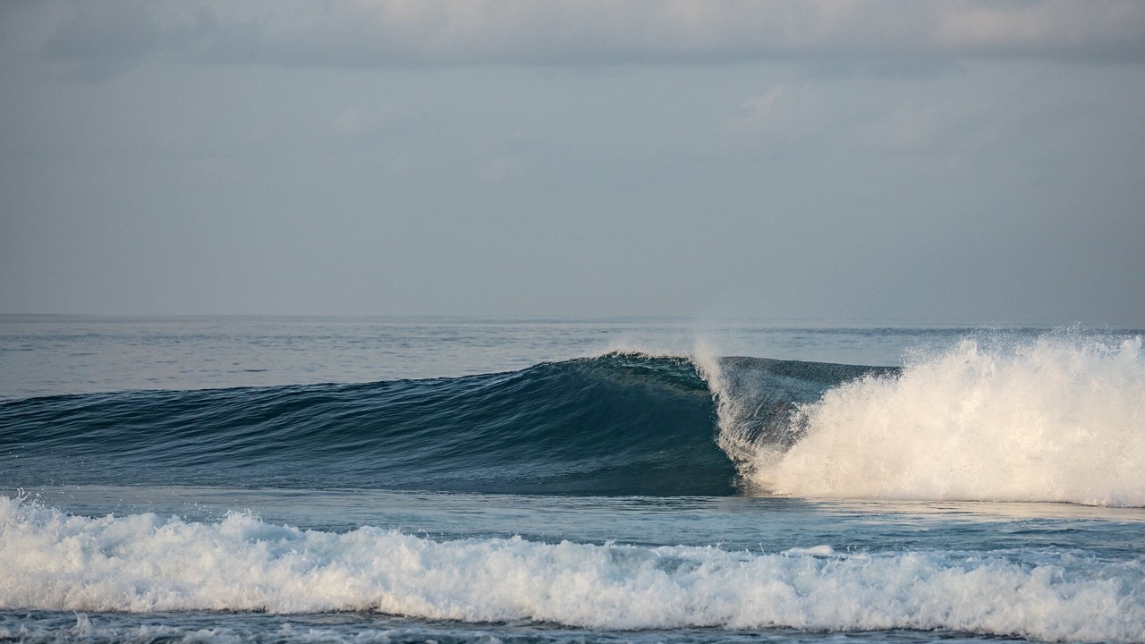 Photo of Others in Kandooma