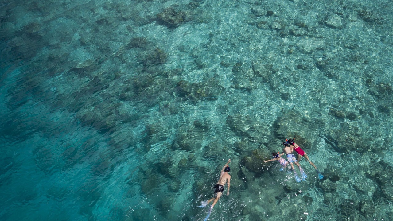 Photo of Others in Dhigufinolhu