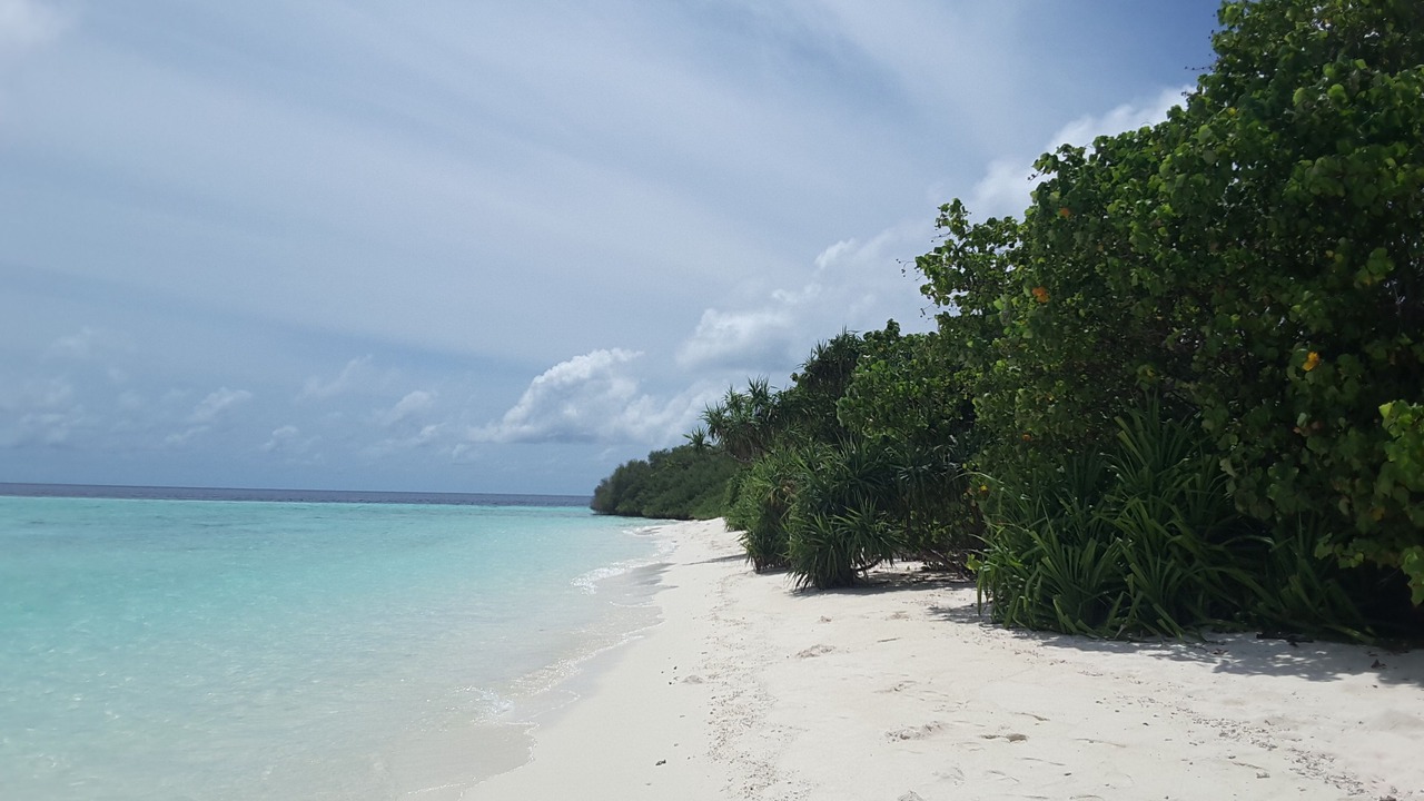 Photo of Others in Felidhoo