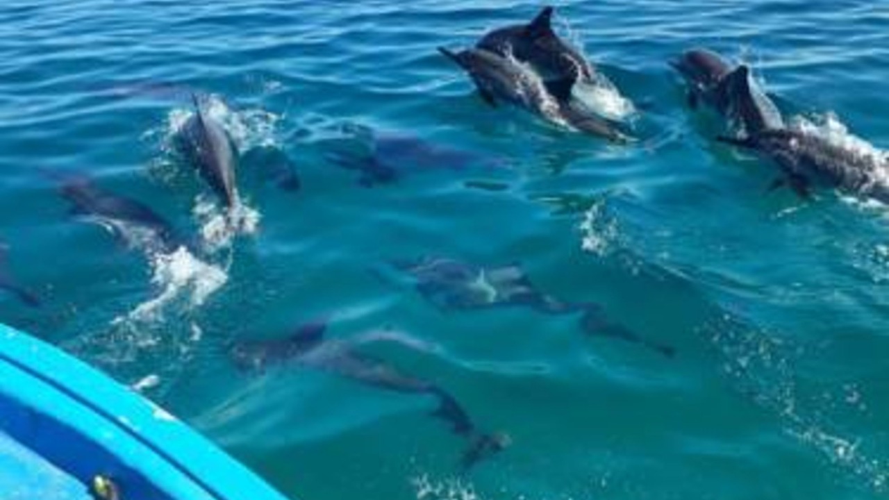 Photo of Others in Maduvvari