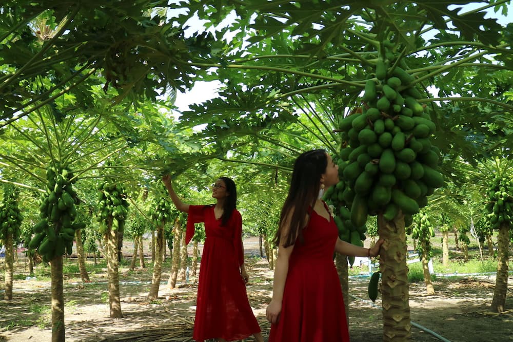 Photo of Outdoor in Thoddoo