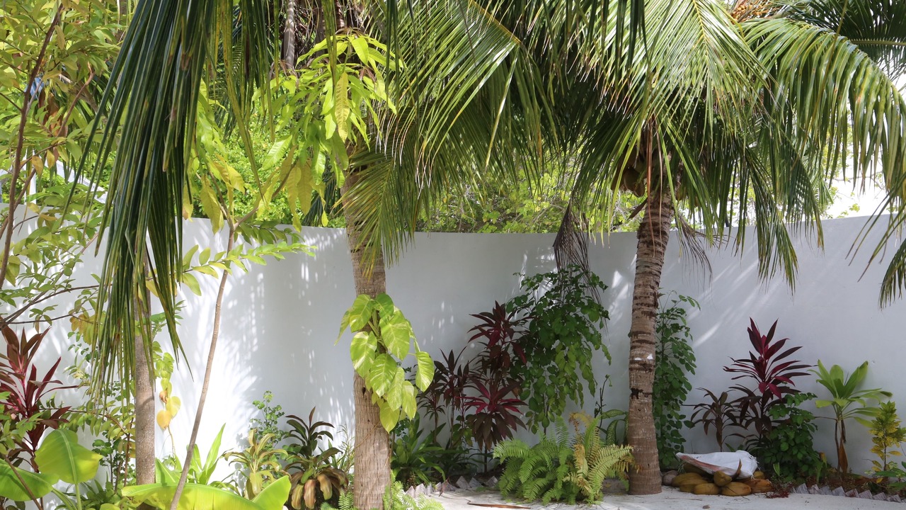 Photo of Outdoor in Velidhoo