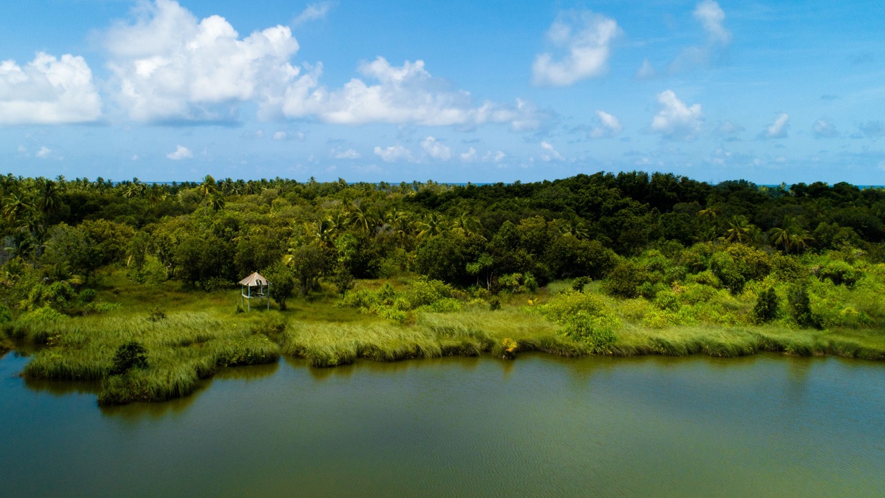 Photo of Others in Fuvahmulah