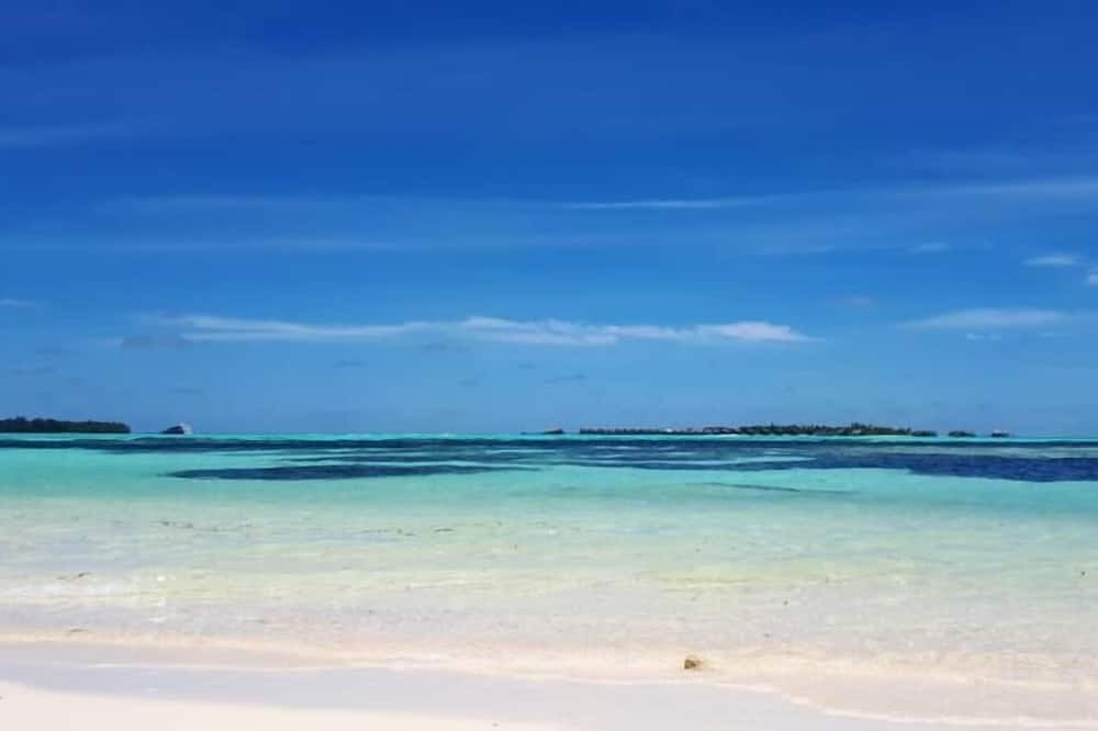 Photo of Others in Guraidhoo