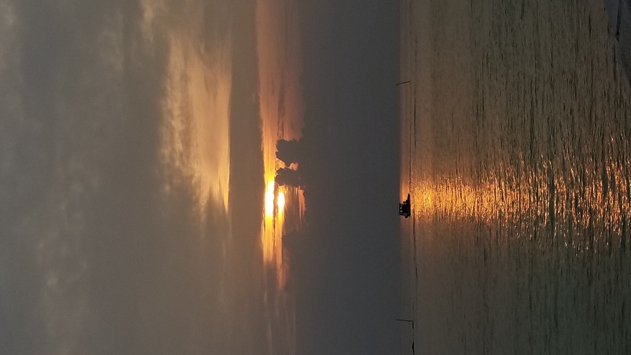 Photo of Others in Milandhoo