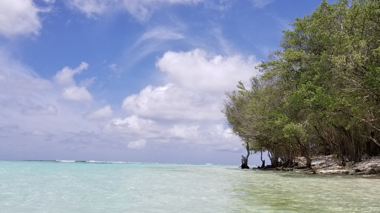 Photo of Others in Milandhoo