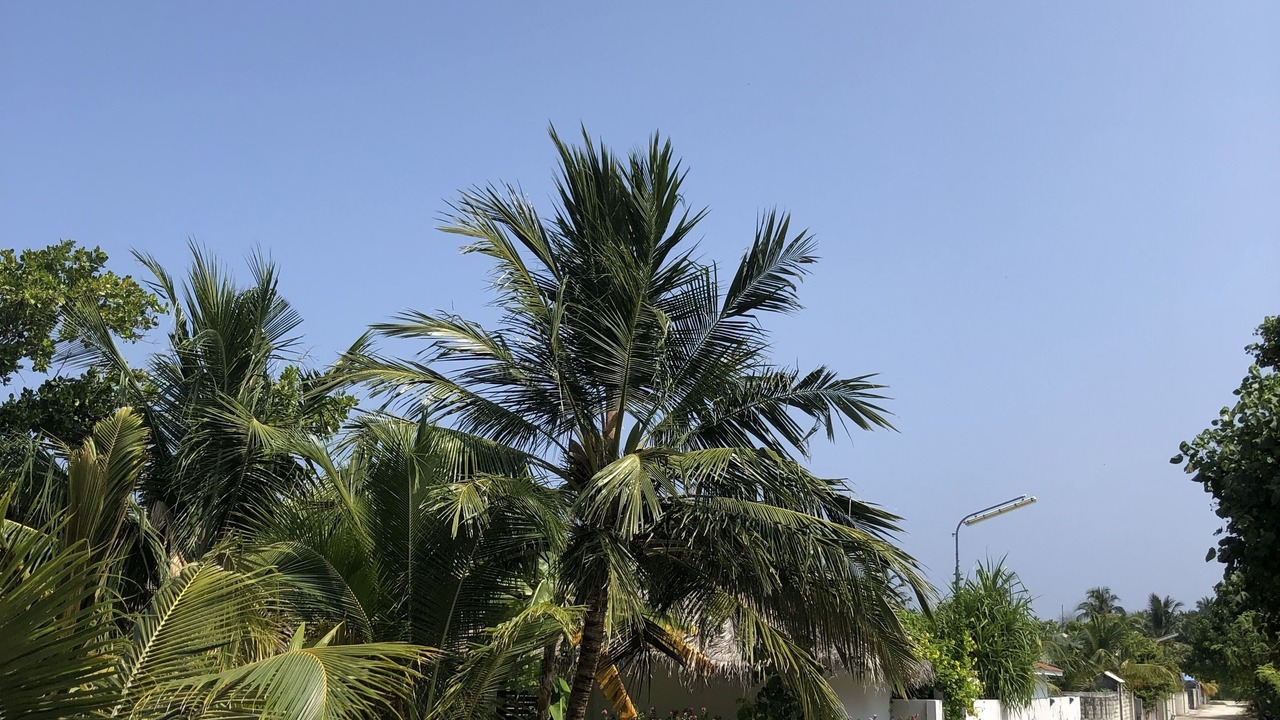 Photo of Outdoor in Kelaa