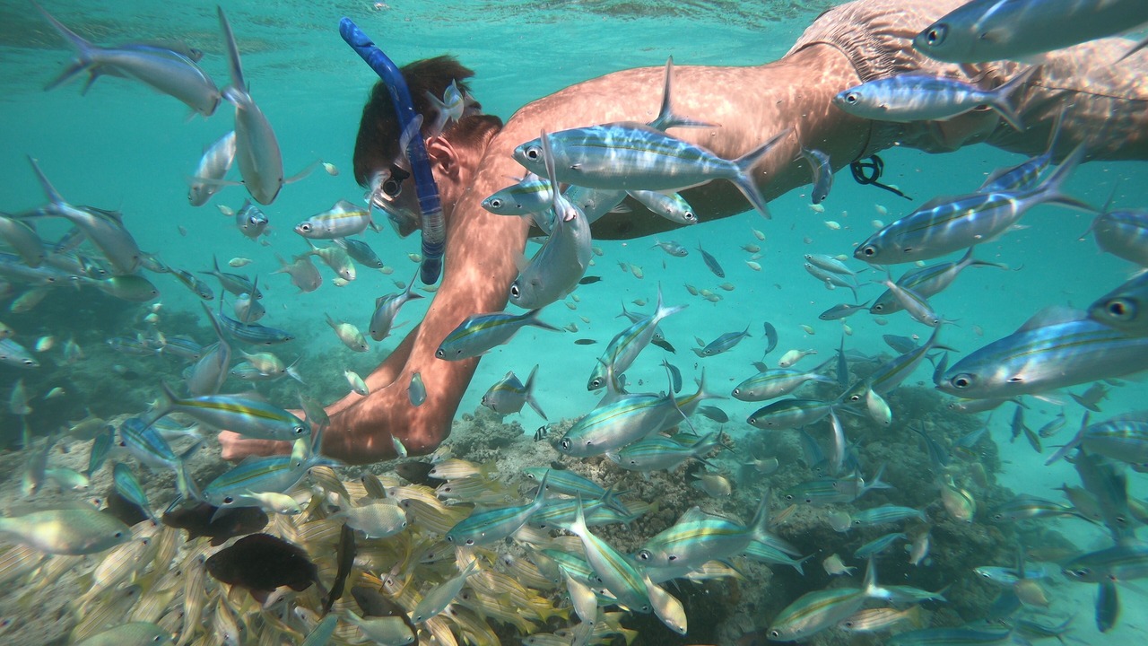 Photo of Others in Rasdhoo