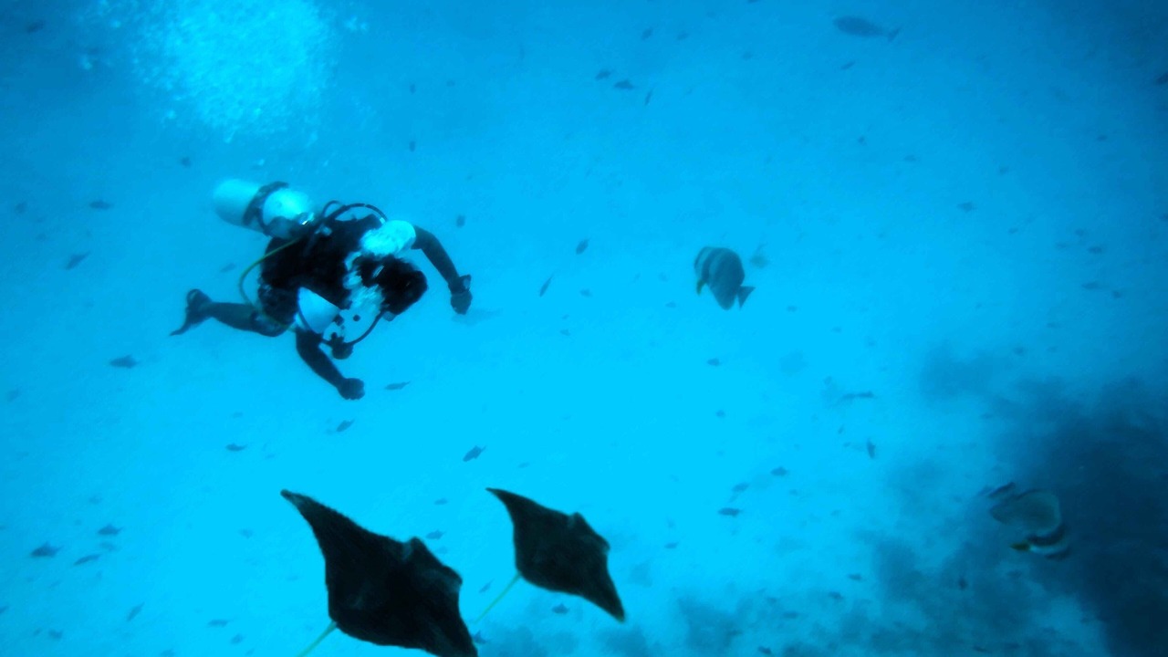 Photo of Others in Rasdhoo