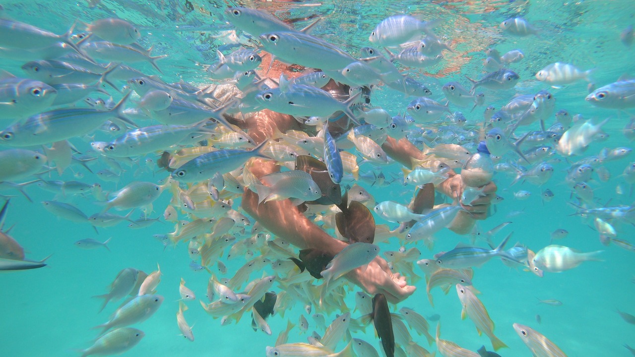 Photo of Outdoor in Rasdhoo