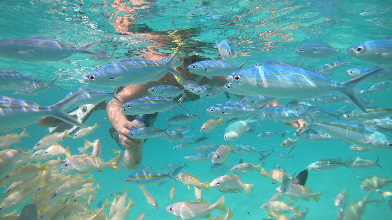 Photo of Outdoor in Rasdhoo