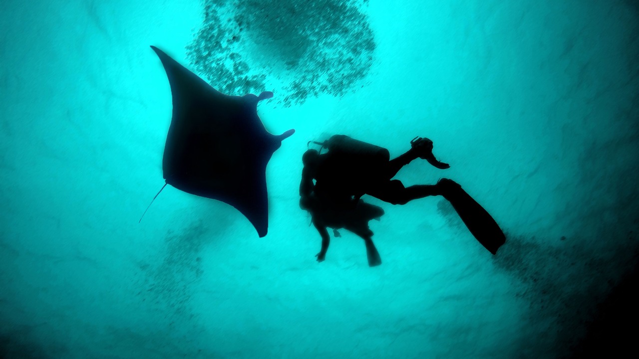 Photo of Others in Rasdhoo