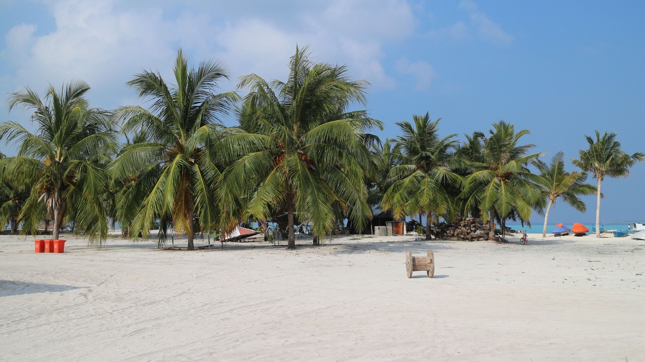 Photo of Others in Hanimaadhoo