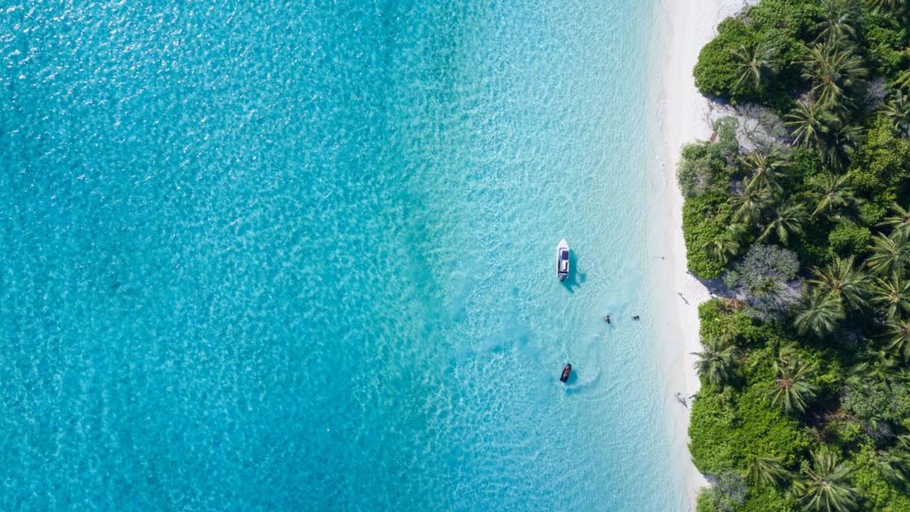 Photo of Others in Thoddoo