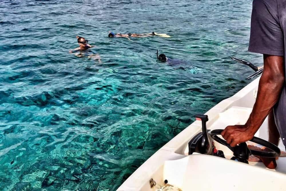 Photo of Others in Huraa