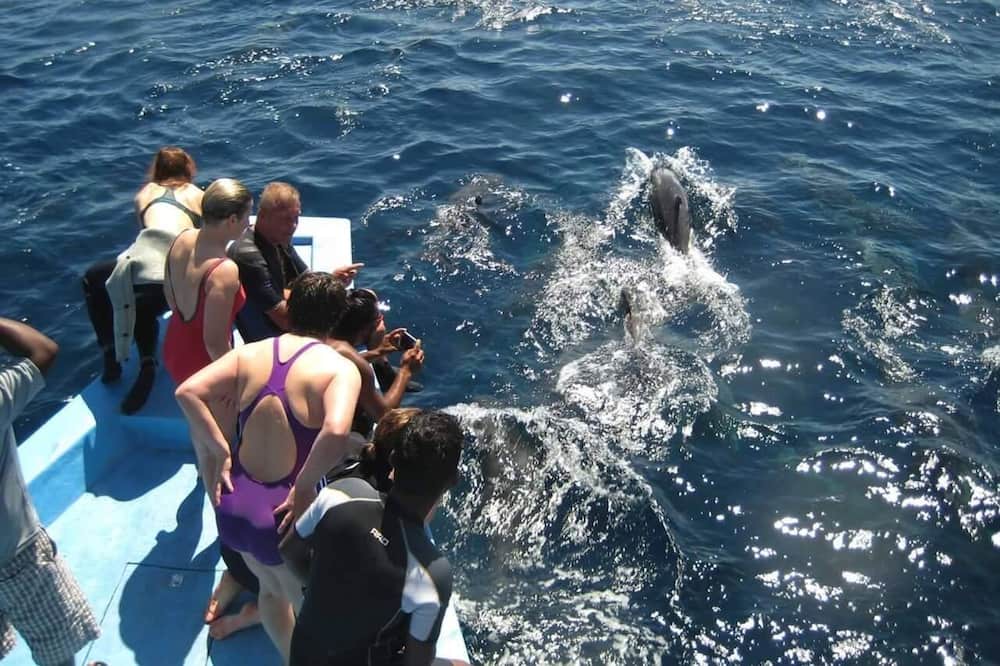 Photo of Others in Huraa