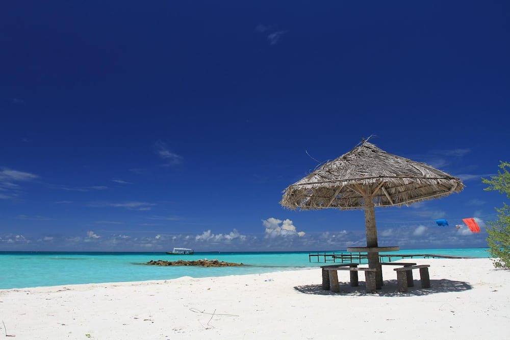 Photo of Others in Huraa