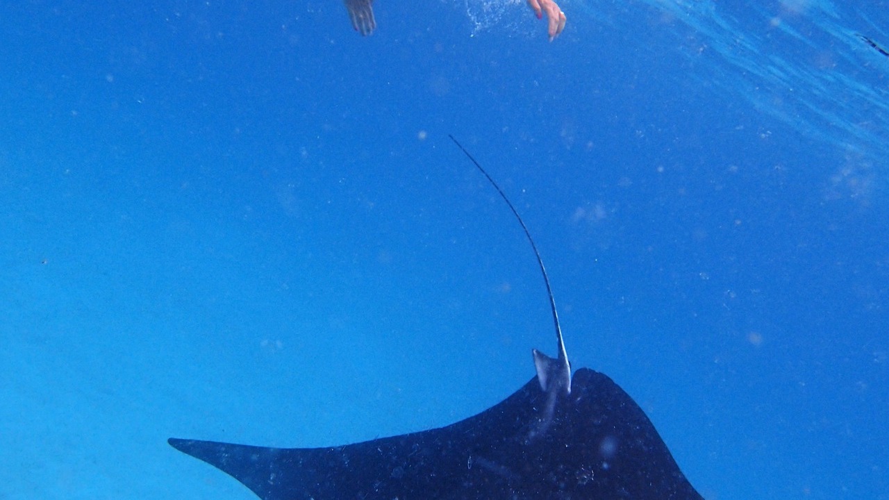 Photo of Others in Ukulhas