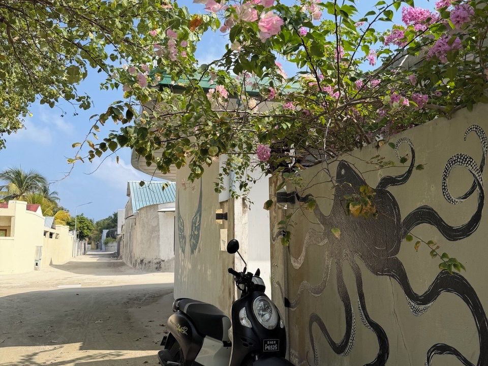 Photo of Outdoor in Kelaa