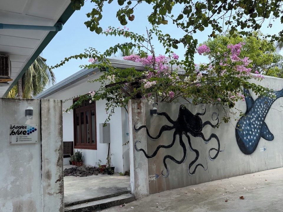 Photo of Outdoor in Kelaa