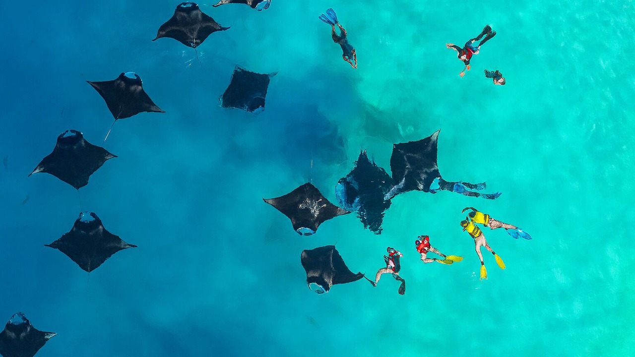 Photo of Others in Kamadhoo