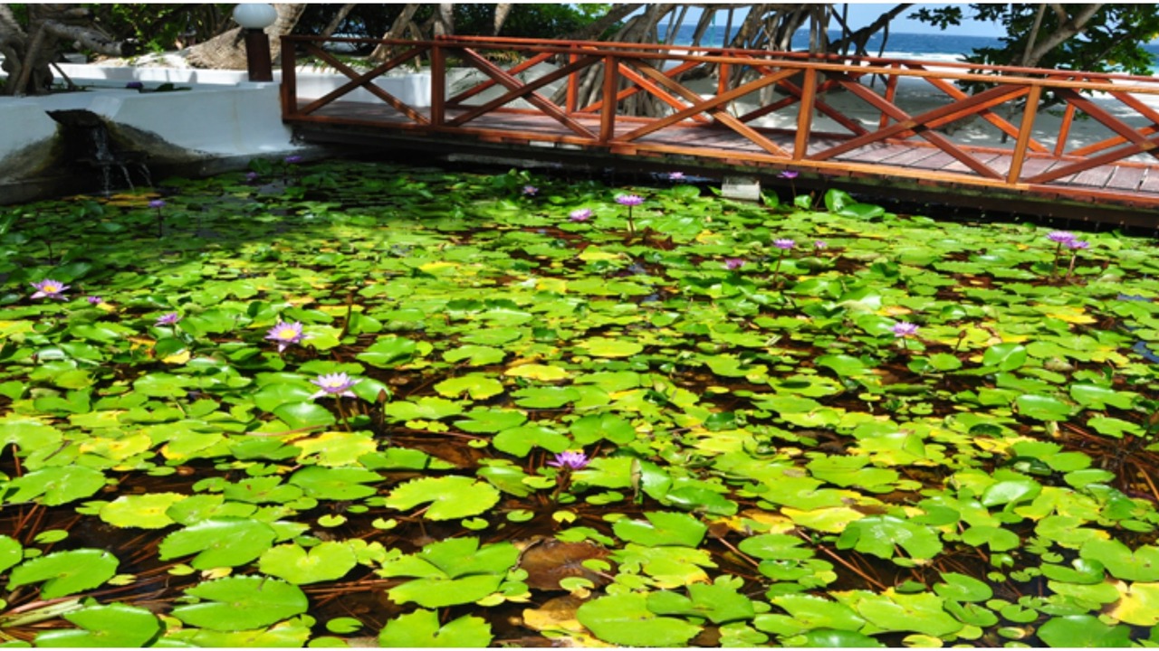Photo of Outdoor in Angaga