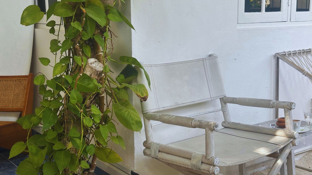 Photo of Livingroom in Himmafushi