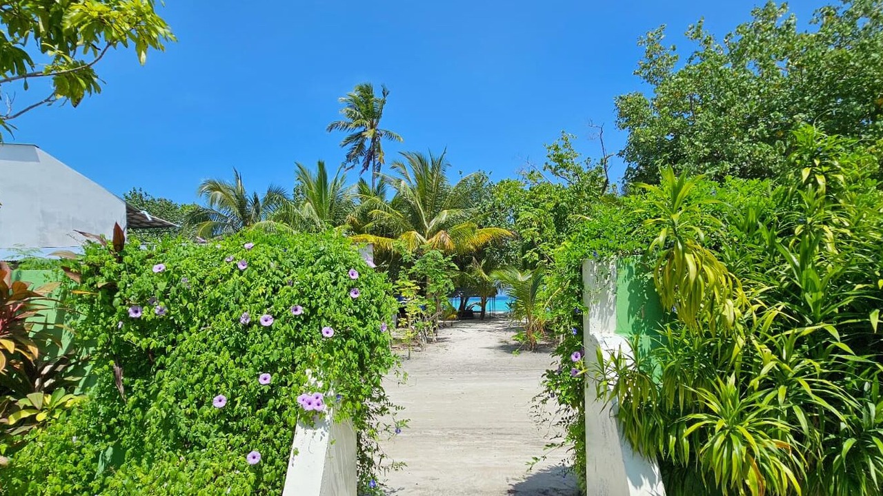 Photo of Outdoor in Himandhoo