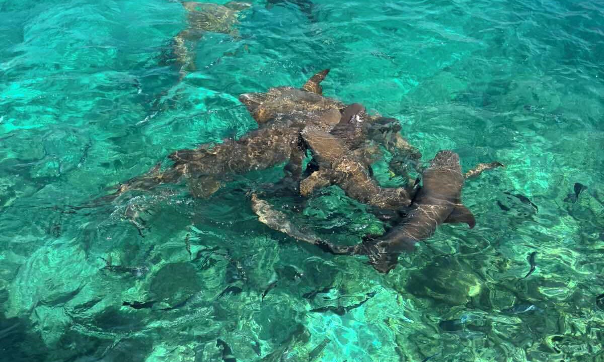 Photo of Outdoor in Dhiffushi