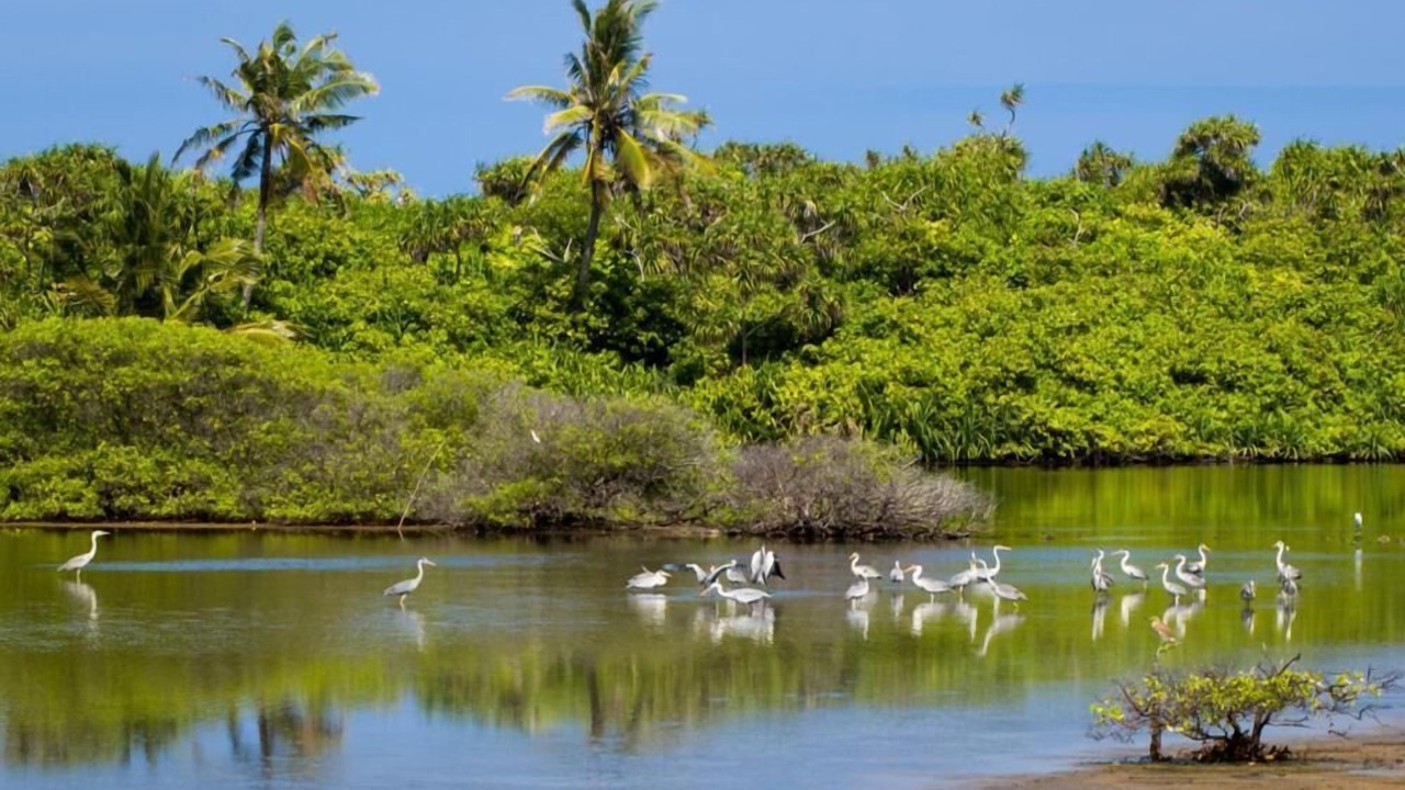 Photo of Outdoor in Hithadhoo