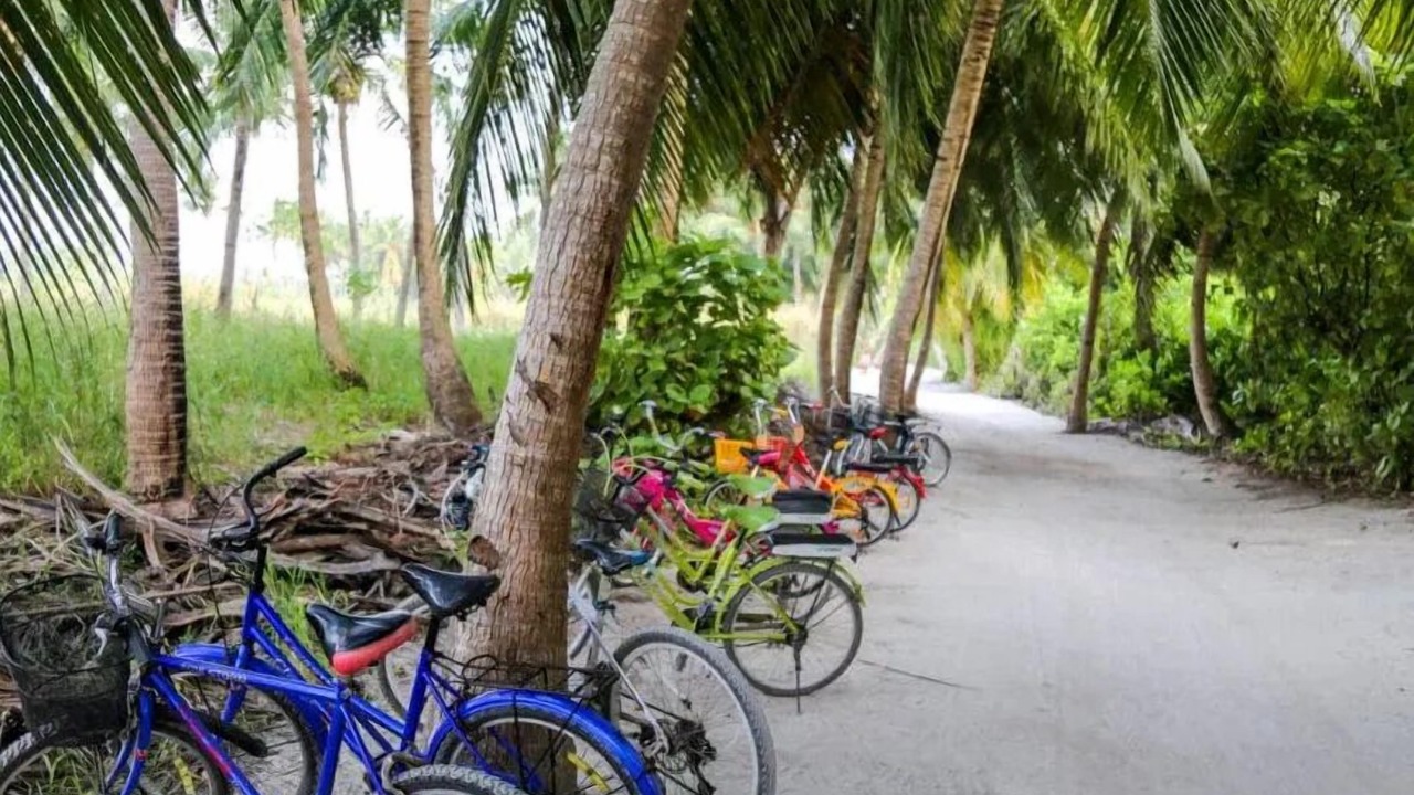 Photo of Outdoor in Thoddoo
