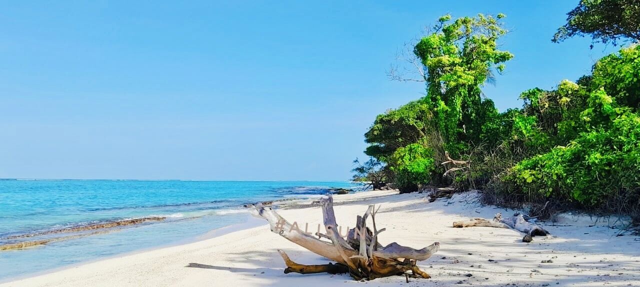 Photo of Outdoor in Thoddoo
