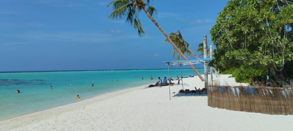 Photo of Others in Thoddoo