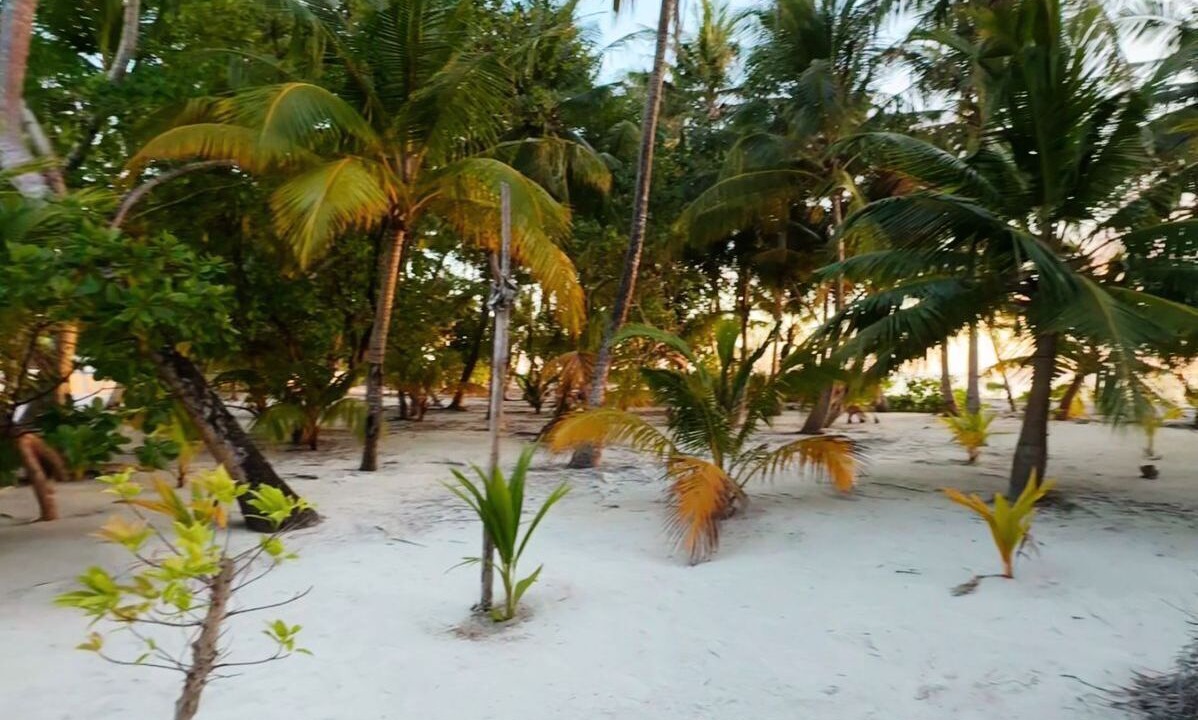 Photo of Bedroom in Rakeedhoo