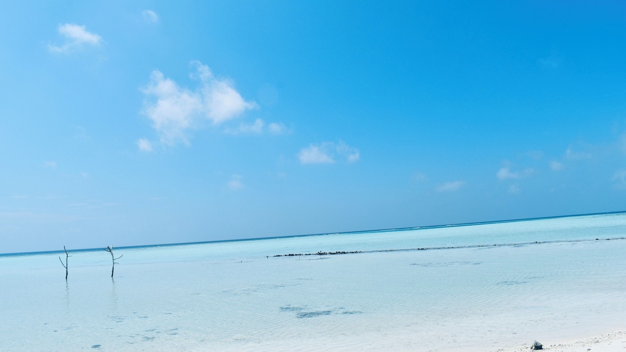 Photo of Others in Rakeedhoo