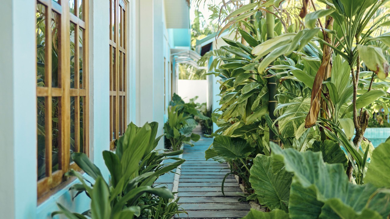 Photo of Outdoor in Gaafu Alifu Atoll
