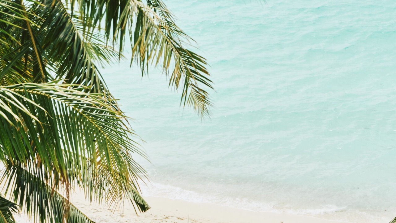 Photo of Outdoor in Dhigurah