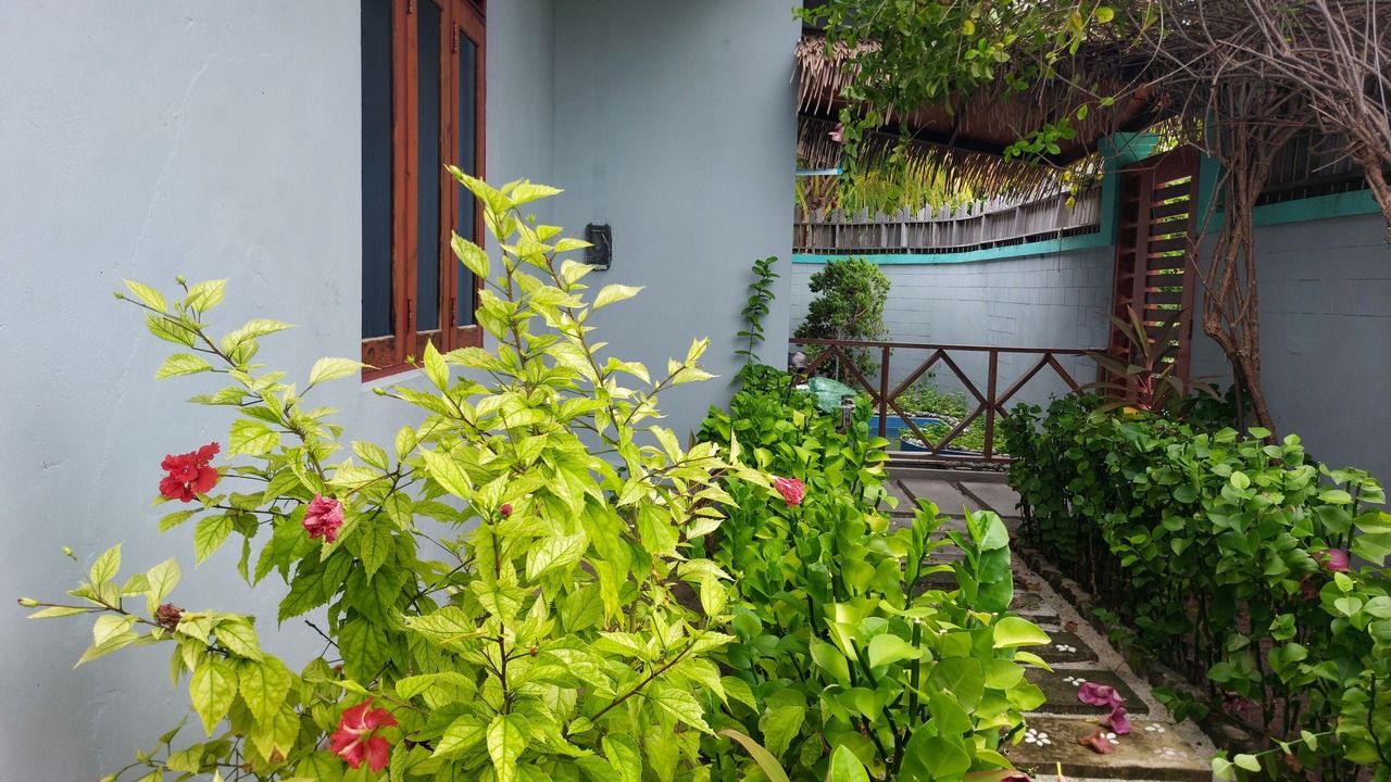 Photo of Outdoor in Raa Atoll