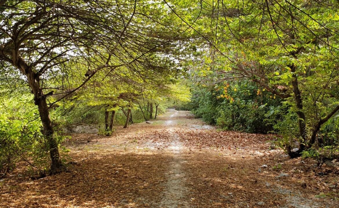 Photo of Outdoor in Noonu Atoll