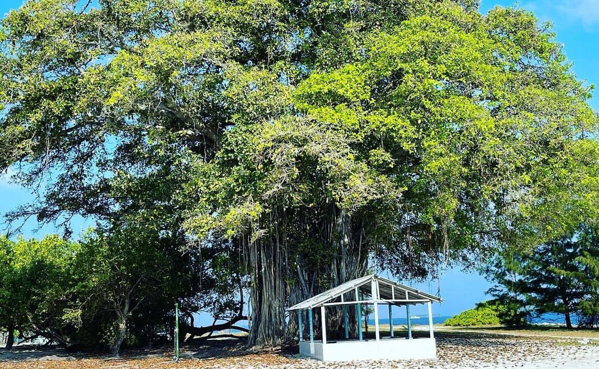 Photo of Outdoor in Noonu Atoll
