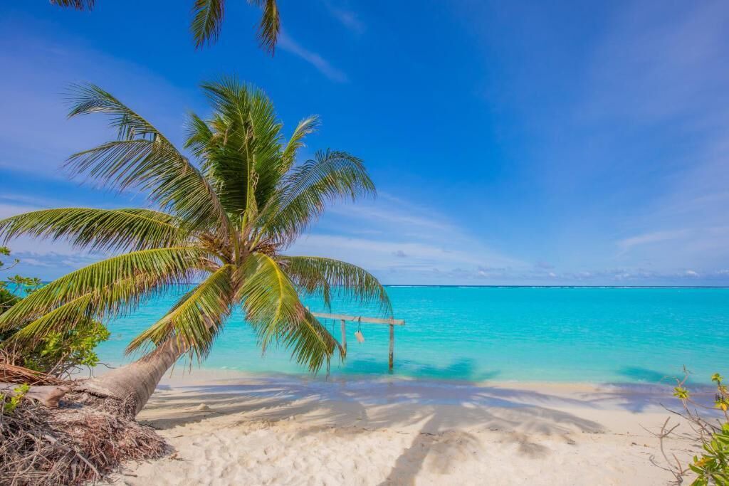 Photo of Others in Thoddoo