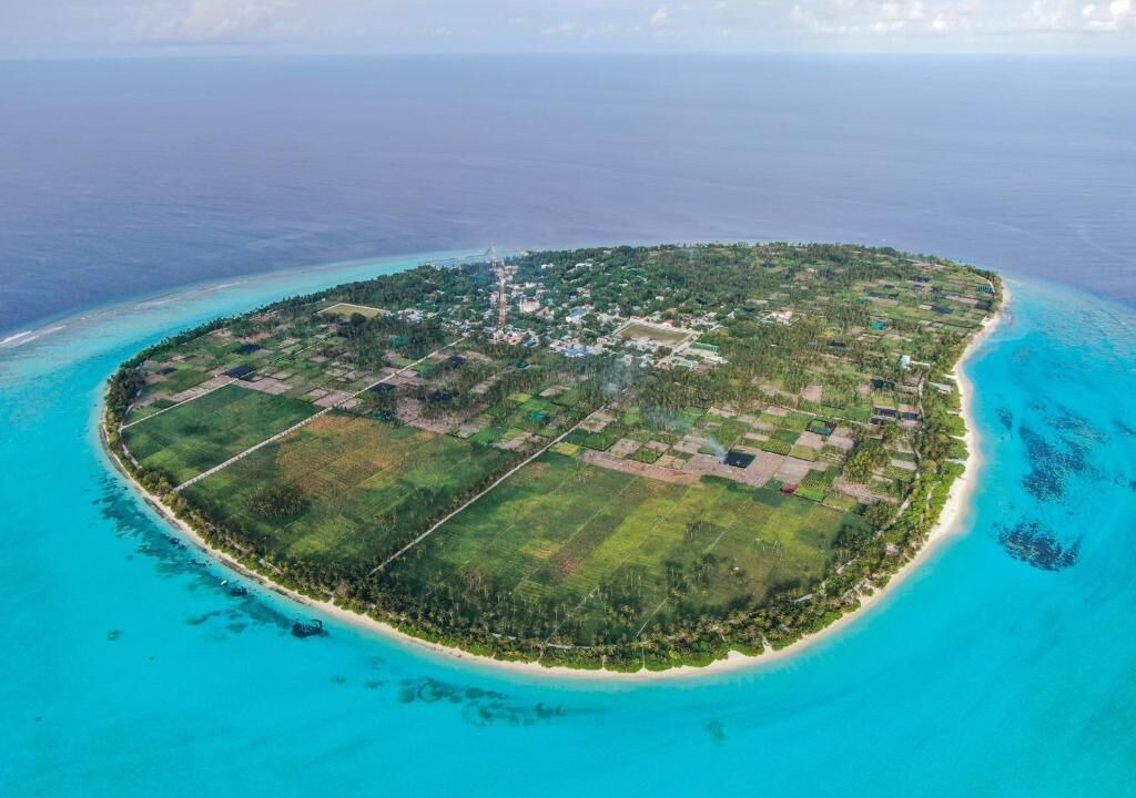 Photo of Others in Thoddoo