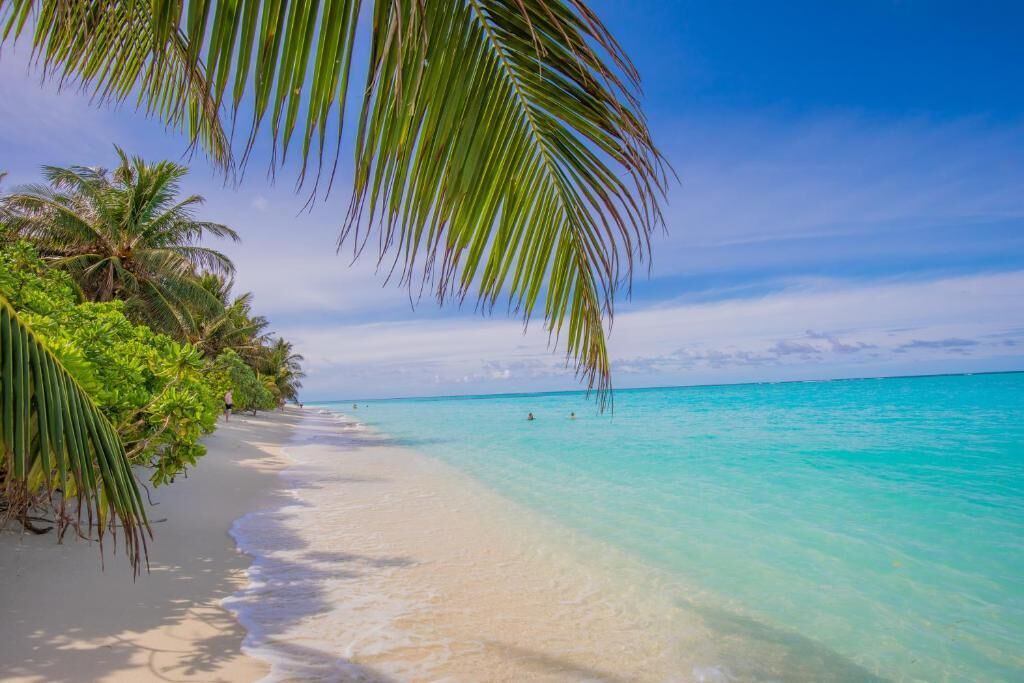 Photo of Others in Thoddoo